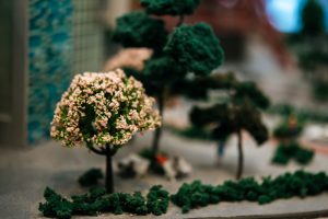 بهترین گیاهان برای طراحی فضای سبز در ایران